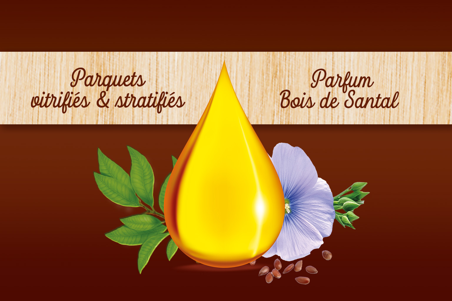 Projet 3