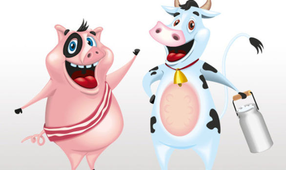 pig & cow - Mascottes